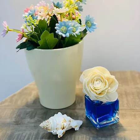 Fior Dei Carmeliti Centre